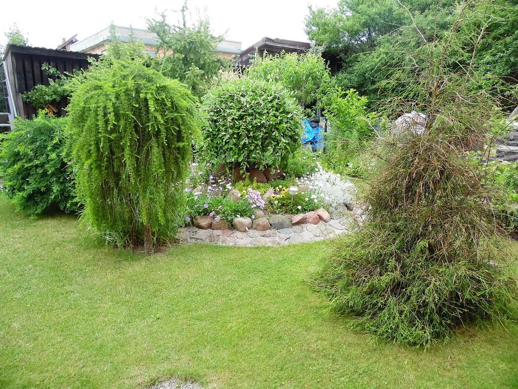 Zelta Pirts Guest House Ventspils Kültér fotó